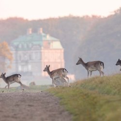 Dänemark Frederiksborg