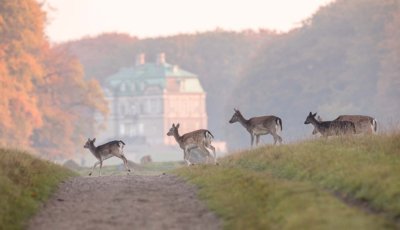 radurlaub dänemark